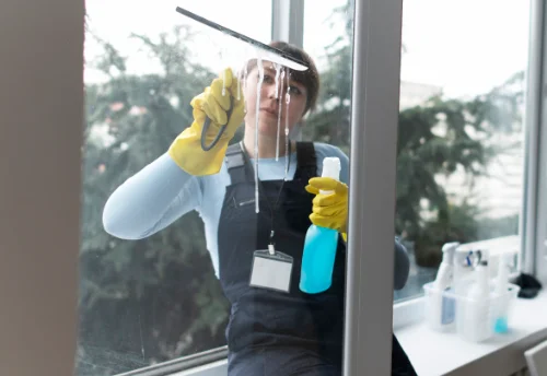 Nettoyage de vitres intérieures et extérieures à Palazinges